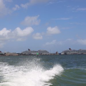 Miami-city - 355A5385