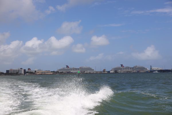 Miami-city - 355A5385