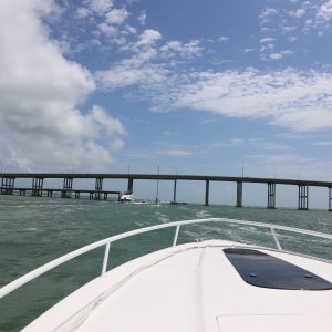 Miami-city - 355A5405