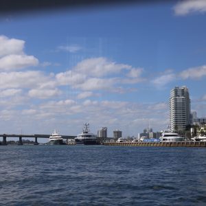 Miami-city - 355A6706