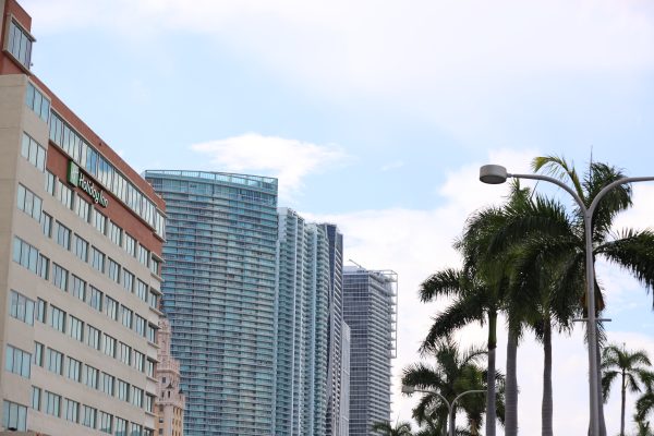 Miami-city - 355A8171