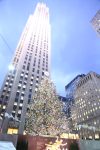 New-york-city - IMG_6889