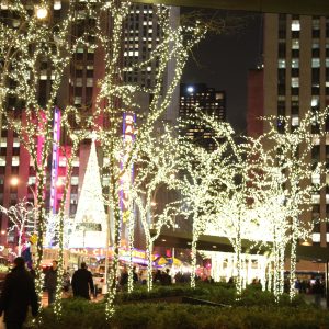 New-york-city - IMG_7215