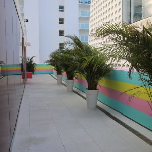 Miami-city - PC2A1044