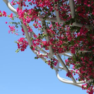 Miami-city - PC2A1897