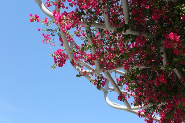 Miami-city - PC2A1897