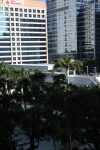 Miami-city - PC2A3143