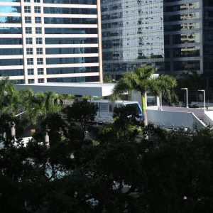 Miami-city - PC2A3143