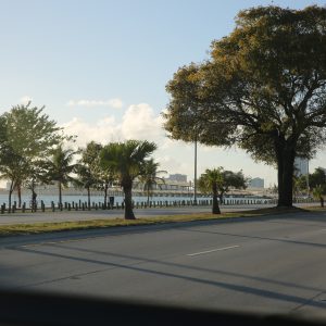 Miami-city - PC2A4119