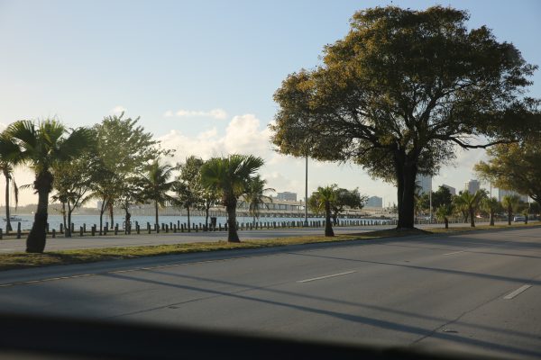 Miami-city - PC2A4119