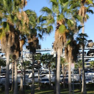 Miami-city - PC2A4121