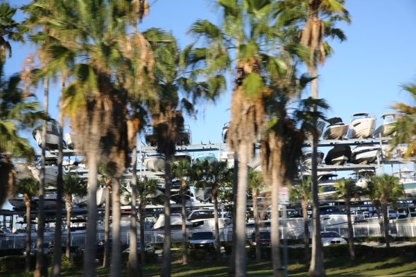 Miami-city - PC2A4121