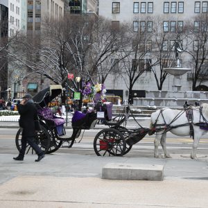 New-york-city - PC2A5465