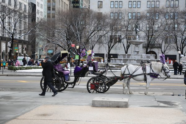 New-york-city - PC2A5465