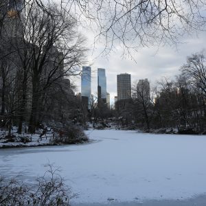 New-york-city - PC2A5513