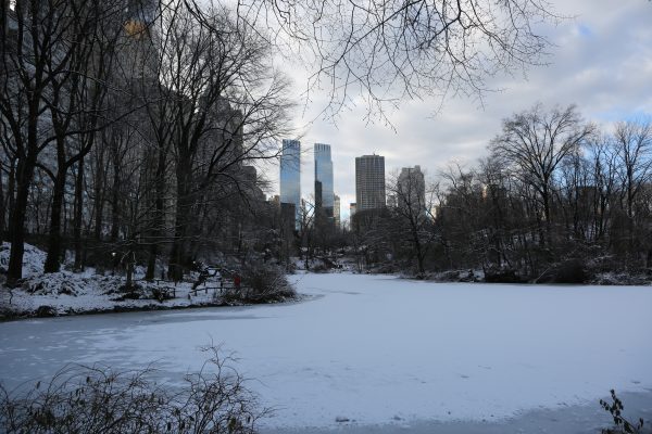 New-york-city - PC2A5513