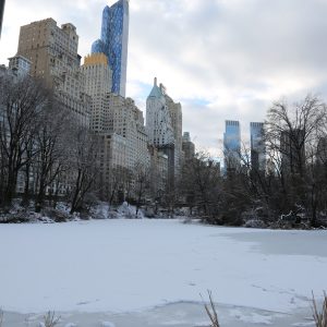 New-york-city - PC2A5556