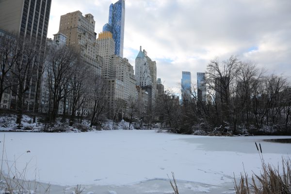 New-york-city - PC2A5556