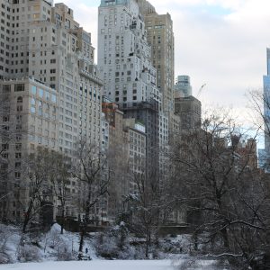 New-york-city - PC2A5557