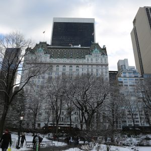 New-york-city - PC2A5563