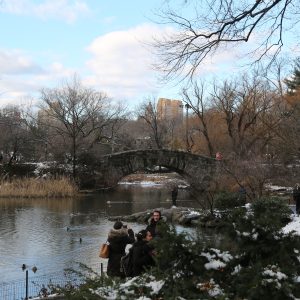 New-york-city - PC2A5569