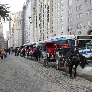 New-york-city - PC2A6299