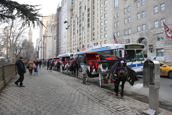 New-york-city - PC2A6299