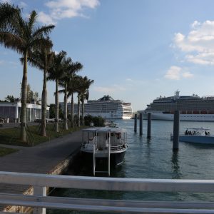 Miami-city - PC2A6886