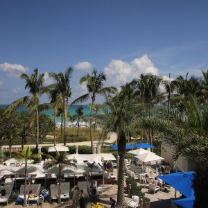 Miami-city - PC2A8691