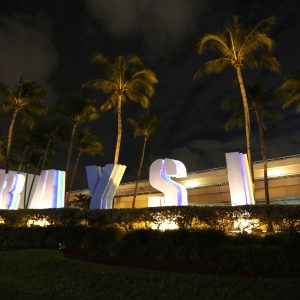 Miami-city - PC2A9077