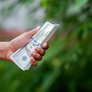 Business – Cropped Hand Holding Paper