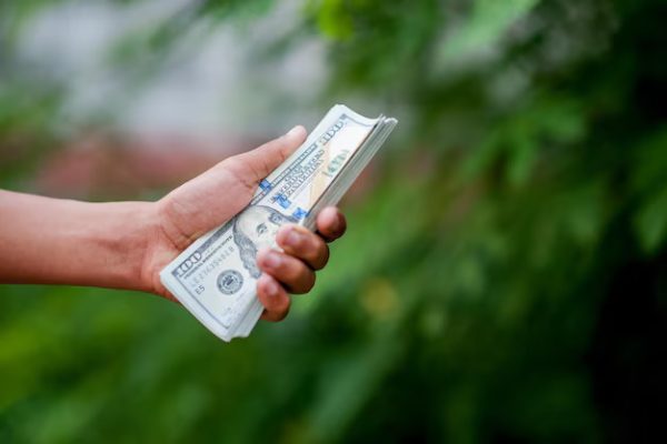 Business – Cropped Hand Holding Paper