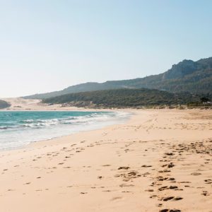 Nature – Landscape Beautiful Seashore With