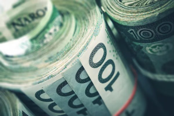 Business – Rolled Polish Zloty Banknotes