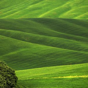 Nature – Scenic View Agricultural Field