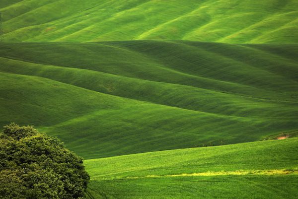 Nature – Scenic View Agricultural Field