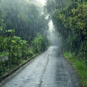 Nature – Weather Effects Composition